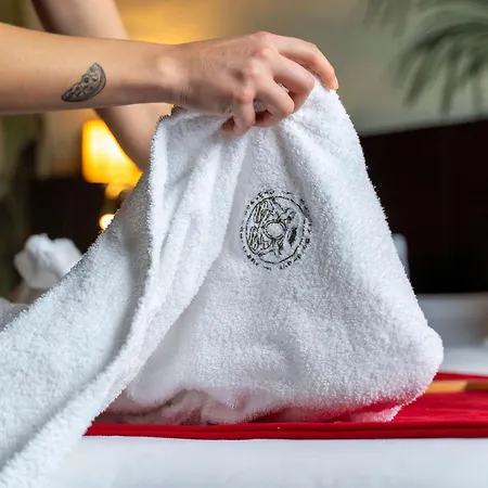 Hotel Mercure Chateau Chartrons